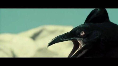 黑料吃瓜网apk普通安装  第2张