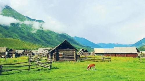 黑料吃瓜网apk普通安装  第2张