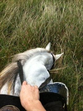 黑料吃瓜网apk普通安装  第3张