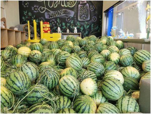 今日热榜安卓app下载  第3张