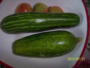 怎么样才能不当社畜:妻子的故事 