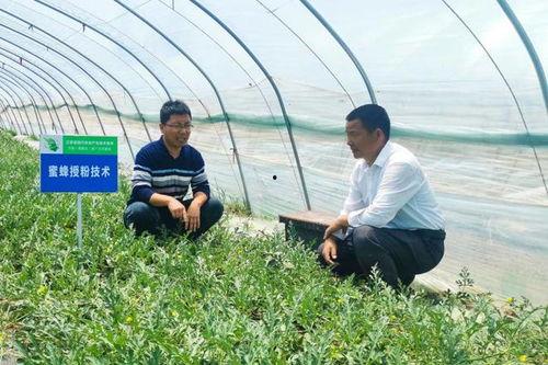 沭阳吧论坛  第3张